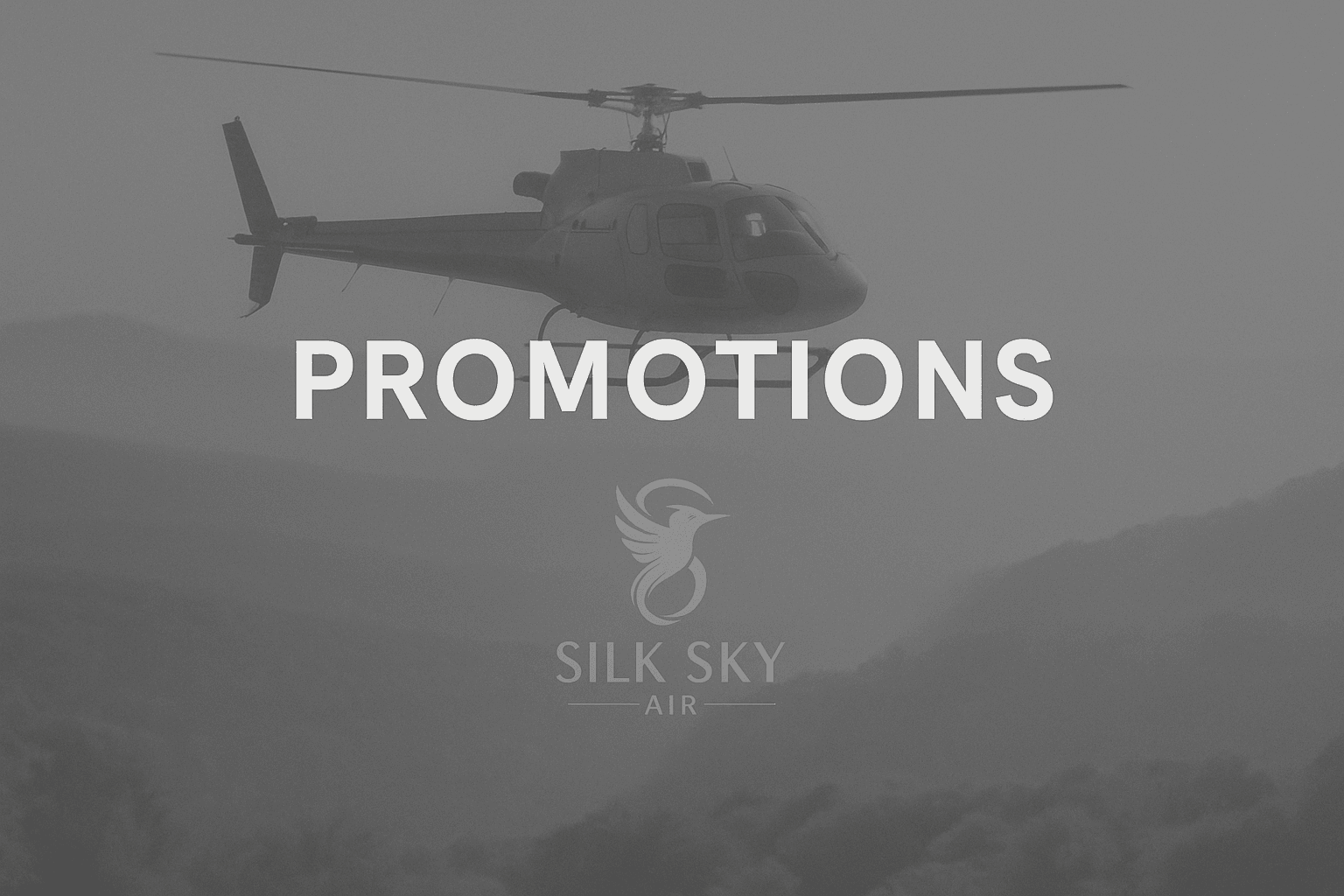 Promotion #ygy5fz0d3ei7v9q9yaulmn8n